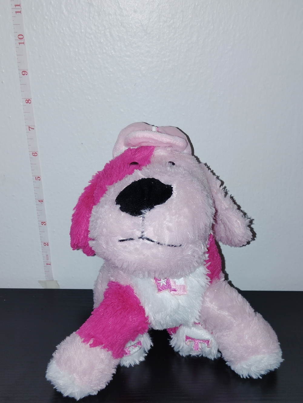 Genuine Merchandise Texas Rangers Pink Dog Plush